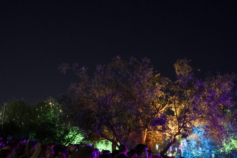 Atmosphere with illuminated trees