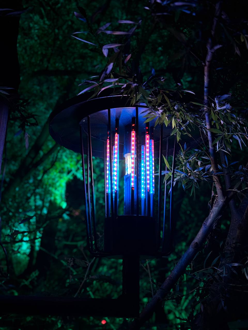 Lantern
